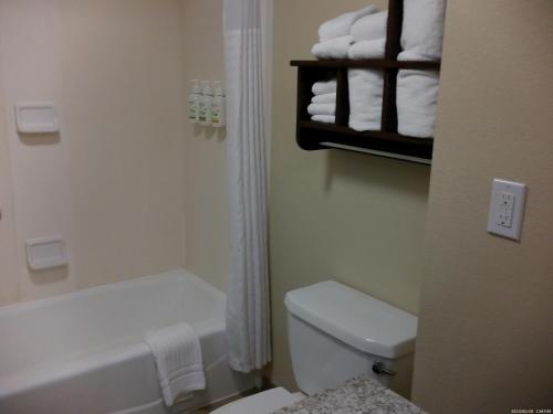 een badkamer met een wit toilet en een bad bij Wingate by Wyndham Buckhannon in Buckhannon