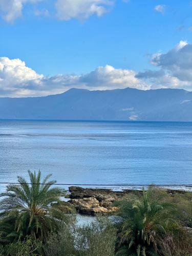 a view of the ocean with palm trees on a beach at Villas Vista Del Mar in Kissamos