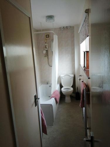 a bathroom with a toilet and a tub and a sink at 2 Rhys Terrace in Machynlleth