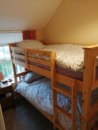 two bunk beds in a room with a window at 2 Rhys Terrace in Machynlleth