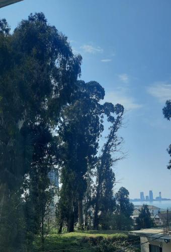 a large tree in a field with a city in the background at Villa TG in Batumi