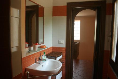 a bathroom with a sink and a mirror at B&B del Castagneto in San Marco Argentano