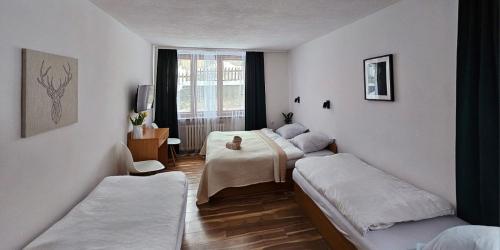 シュクラルスカ・ポレンバにあるSzum i Lasのベッド3台と窓が備わる客室です。