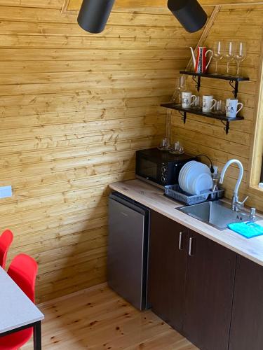 a kitchen with a sink and a microwave at Sunny Side Cottage in Stepantsminda