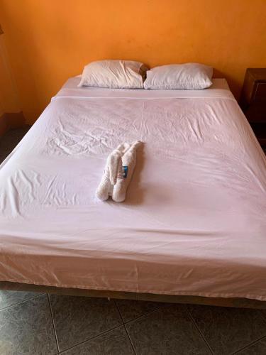 a stuffed animal is sitting on a bed at Hotel Aurora in Flores
