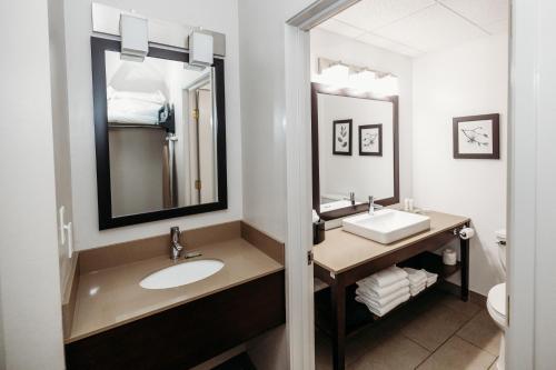 a bathroom with a sink and a mirror at Parkview Inn & Suites, Lancaster Amish Country, PA in Lancaster