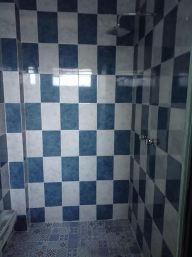 a bathroom with a shower with blue and white tiles at TERRAZA LABASTIDA in San Martín Texmelucan de Labastida
