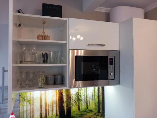 a microwave in a kitchen with a painting of a forest at Prime Apartment Heviz in Hévíz