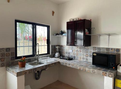 a kitchen counter with a sink and a window at Casa bugambilias in Cabo San Lucas