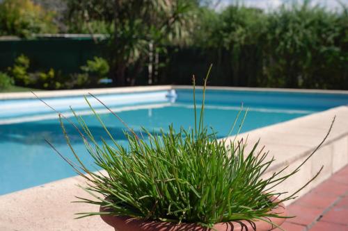 Casa funes – Photos 2