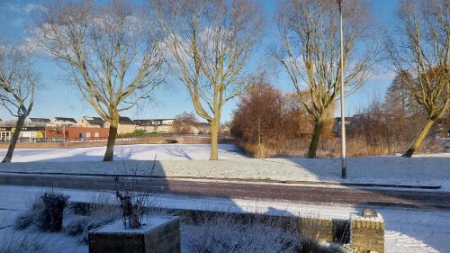 a park with snow on the ground and trees at Appartement Mijn Ouders Bed en Breakfast Emmeloord in Emmeloord