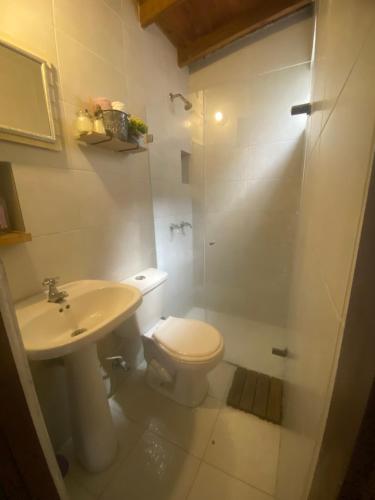 La salle de bains est pourvue de toilettes, d'un lavabo et d'une douche. dans l'établissement Habitación para viajero, à Pasto