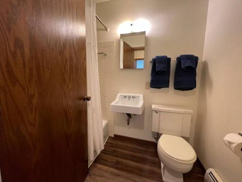 uma casa de banho com um WC branco e um lavatório. em Liberty Valley Short Term Rental - 29 em Madison