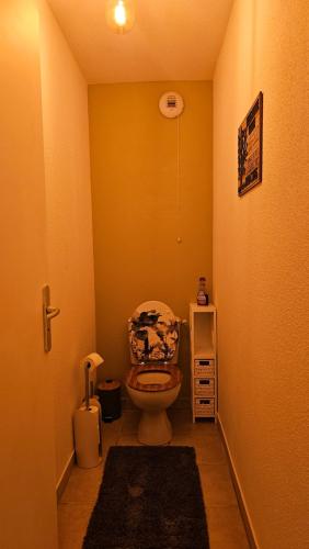 une salle de bain avec toilettes dans une chambre dans l'établissement Bel appartement F3 tout confort, à Saint-Vincent-de-Paul