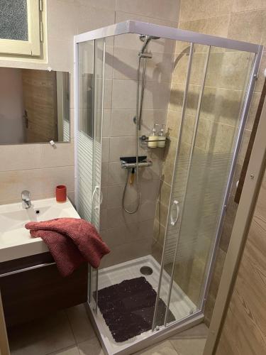 La salle de bains est pourvue d'une douche avec une porte en verre. dans l'établissement Appartement 4 à 6 pers Annecy, à Annecy