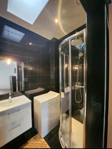 une salle de bain avec douche et lavabo dans l'établissement Très beau 2 pièces à 400m de Paris, à Gentilly