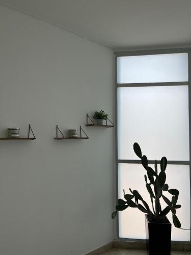 a room with a window and a potted plant at Hotel Fenix in Cúcuta