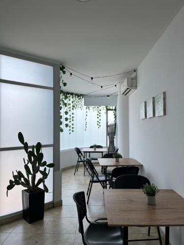 a dining room with tables and chairs and a plant at Hotel Fenix in Cúcuta