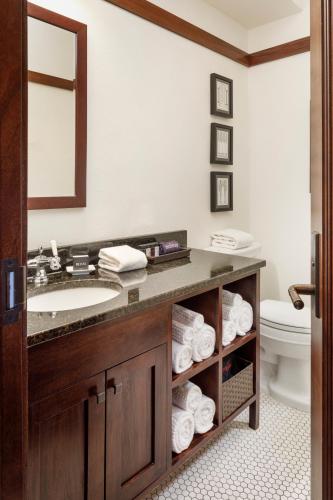 a bathroom with a sink and a toilet at The Historic Park Inn Hotel in Mason City