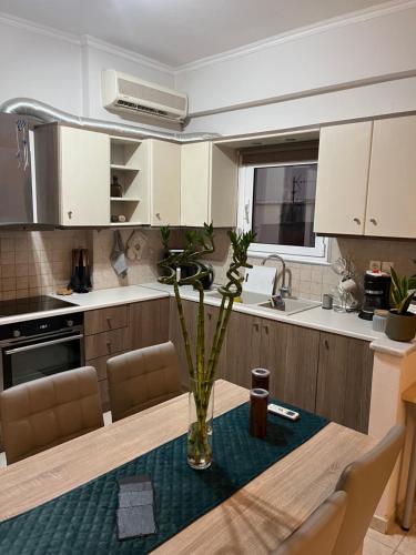 Tzitzifianaki Cozy Apartment