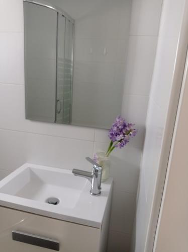 La salle de bains est pourvue d'un lavabo, d'un miroir et d'un vase de fleurs. dans l'établissement Loft de 50metros con dos terrazas, à Herencia