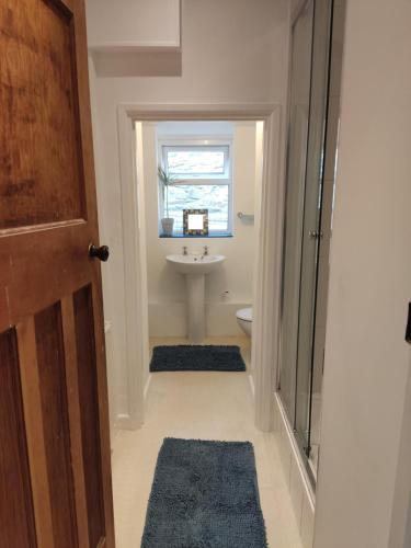 a bathroom with a sink and a toilet and a window at Garden Room in Cardigan