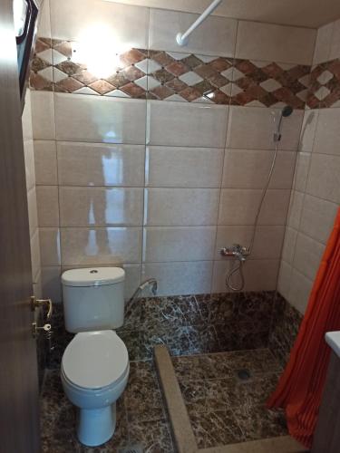 a bathroom with a toilet and a shower at Γαλήνη1 in Skála Stólou