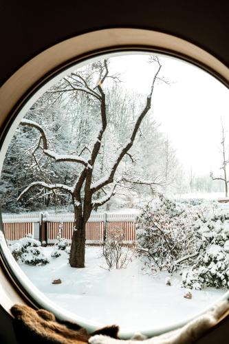 a window view of a tree in the snow at Aparthouse Lubno in Frýdlant nad Ostravicí