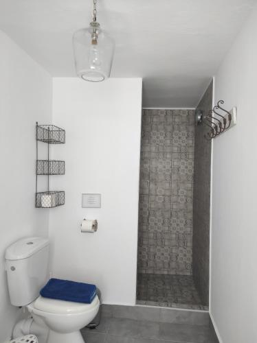 a bathroom with a toilet and a shower at The Guest House in Skiathos