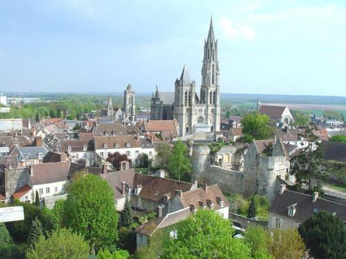 een uitzicht op een stad met een kathedraal en gebouwen bij Le Chapitre, au calme de Senlis in Senlis