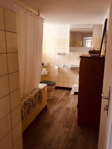 a bathroom with a toilet and a sink at LaTerestone in Les Bayards