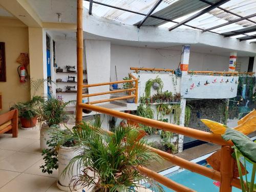 a room filled with plants and a swimming pool at Hostal y Complejo Turístico La Rueda in Guaranda