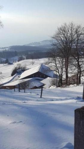 un bâtiment recouvert de neige sur un champ recouvert de neige dans l'établissement Studio im Bauernhaus 4 Pers - b48568, à Chardonne