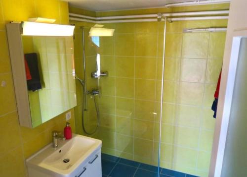 a bathroom with a shower and a sink and a mirror at Pilgerwohnung - b48531 in Wald