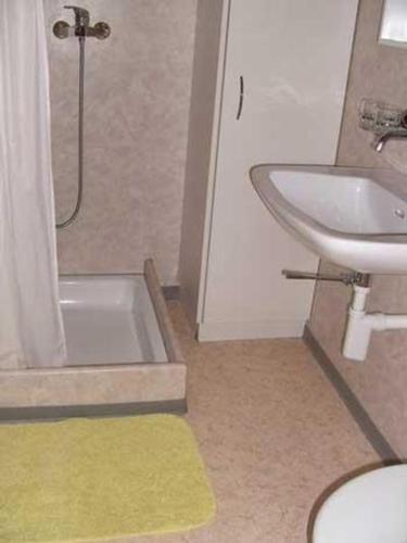 a bathroom with a sink and a shower and a toilet at Studio Britschgi-Frunz - b48556 in Sarnen