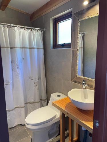 La salle de bains est pourvue de toilettes blanches et d'un lavabo. dans l'établissement Loft Cutipay Alto, à Valdivia