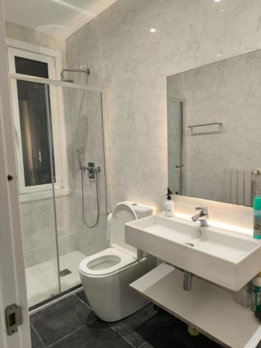 e bagno con servizi igienici, lavandino e doccia. di HABITACIÓN EN VIVIENDA CENTRICA BILBAo 18 a Bilbao