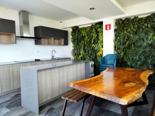a kitchen with a wooden table and a green wall at Suite Zen in Guatemala