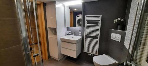 a bathroom with a sink and a toilet and a mirror at Gemütliche und geräumige Ferienwohnung - b48625 in Nesslau