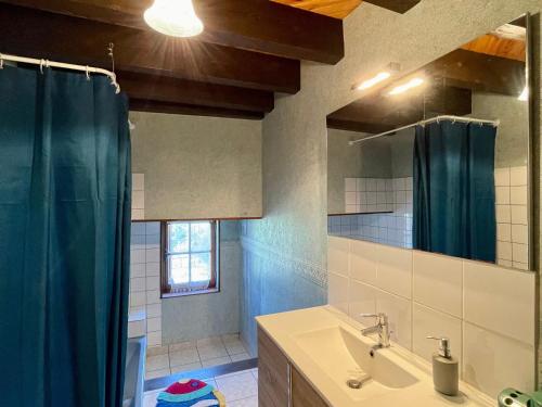 ein Bad mit einem Waschbecken und einer Dusche mit einem Spiegel in der Unterkunft Gîte Saint-Vert, 5 pièces, 7 personnes - FR-1-582-230 in Saint-Vert
