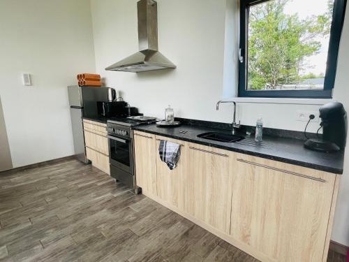 une cuisine avec un évier, une cuisinière et une fenêtre dans l'établissement Gîte spacieux et lumineux dans belle dépendance avec terrasse privative, parc et chiens acceptés - FR-1-410-412, à La Flèche