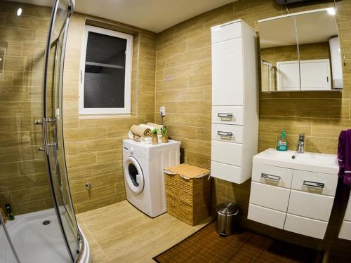 uma casa de banho com uma máquina de lavar roupa e um lavatório em Holiday house with a swimming pool Sveti Ivan Zelina, Prigorje - 21973 em Donja Zelina