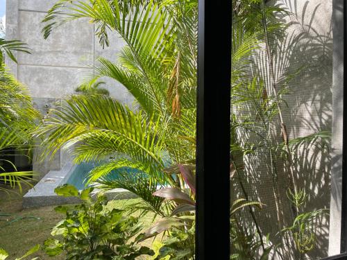 Hotel Suites La Negra en Mérida