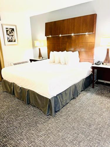 Ένα ή περισσότερα κρεβάτια σε δωμάτιο στο Quality Inn & Suites