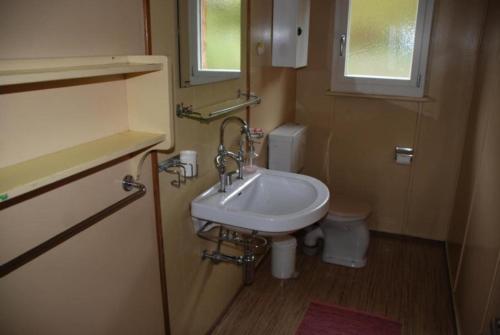 La petite salle de bains est pourvue d'un lavabo et de toilettes. dans l'établissement Tournelle 8 Bett Wohnung - b48643, à Grindelwald