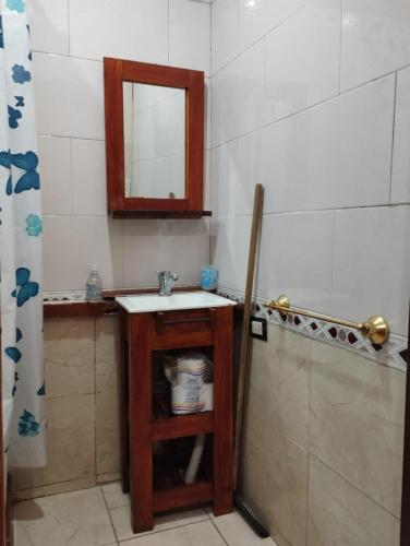 bagno con lavandino, specchio e doccia di CHE LOLITA HOUSE 2 a Buenos Aires