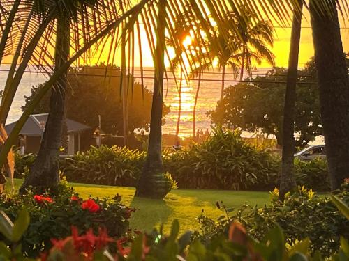 Jardín al aire libre en Winter Getaway - Prime Location - at Magic Sands Beach
