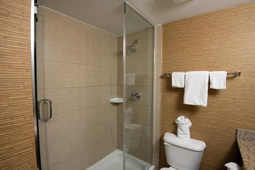 a bathroom with a shower and a toilet at Holiday Inn Express Hotel & Suites Chatham South, an IHG Hotel in Chatham