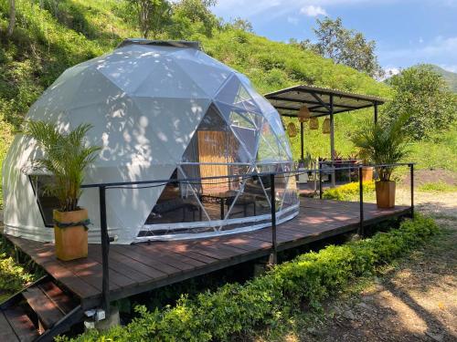 Zahrada ubytování Ocobos Glamping