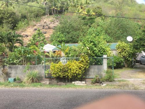 a fence with a bunch of plants on a hill at Iaoraboraborahouse TEREIA in Bora Bora